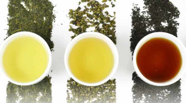 Datos interesantes sobre el té