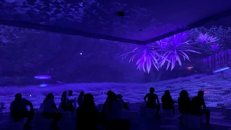 The Box Immersion llega a CDMX