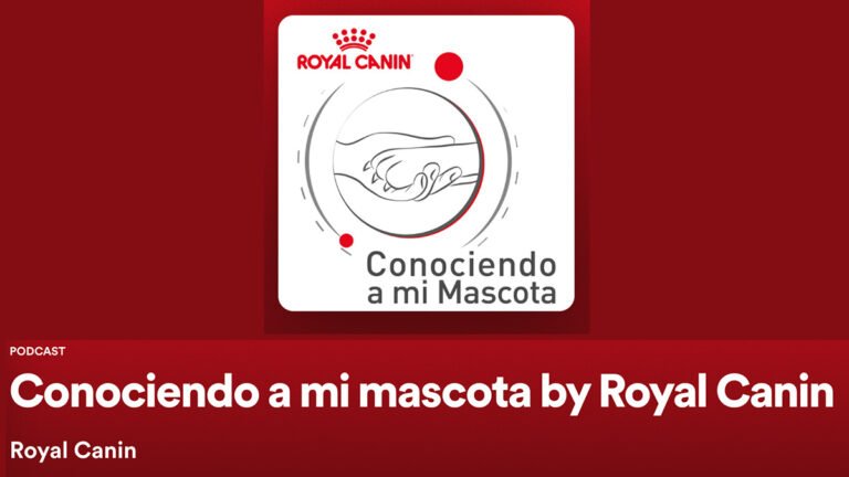 ¿Qué tanto conoces a tu mascota?